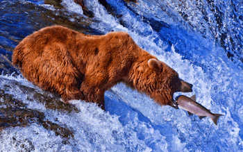 AL Attivita  pesca 708x443 min